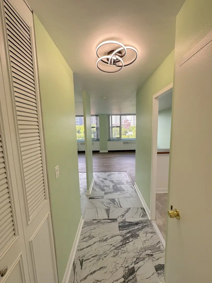 4250 N Marine Drive #714, Chicago, IL 60613 - #2