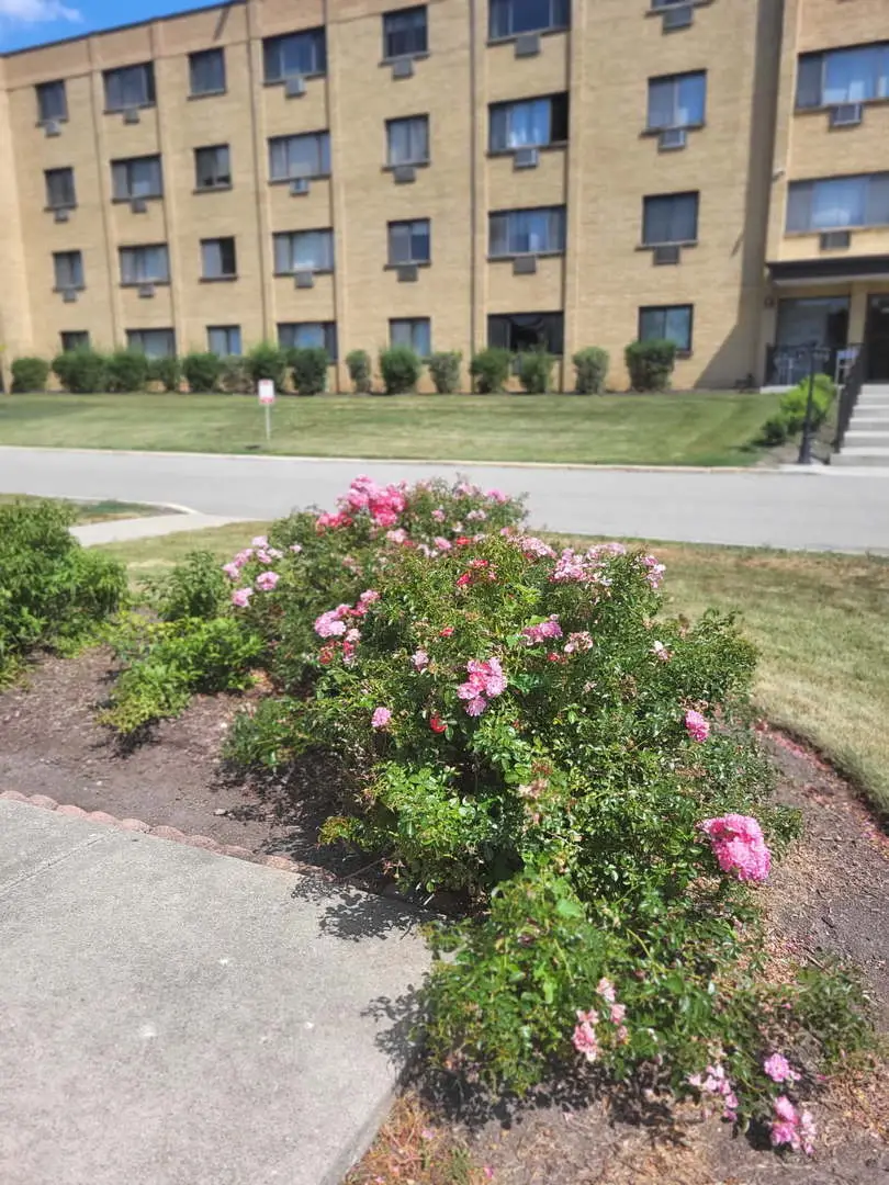 6670 S Brainard Avenue #404, Countryside, IL 60525 - #1