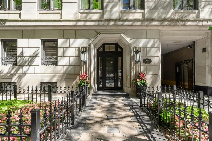 222 E Chestnut Street #11B, Chicago, IL 60611 - #2