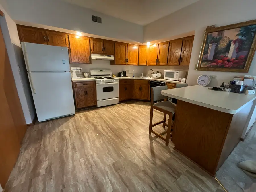 1101 E Division Street #1B, Lockport, IL 60441 - #3