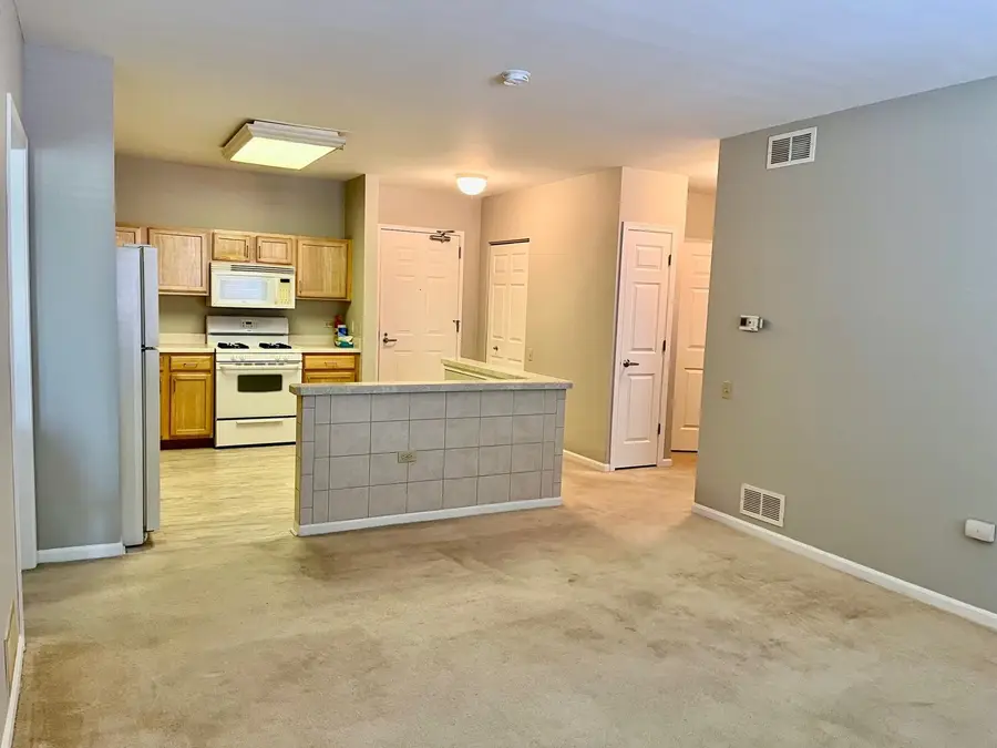 6710 S Keating Avenue #201, Chicago, IL 60629 - #3