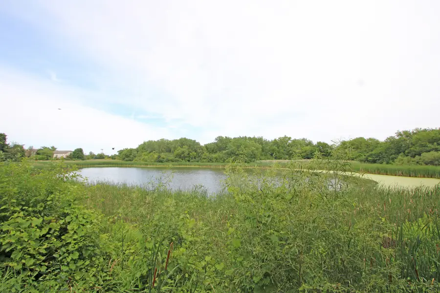 1377 E Evergreen Drive #2, Palatine, IL 60074 - #3