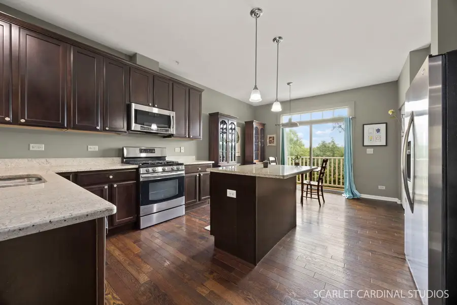 N095 Preserve Court, Winfield, IL 60190 - #3
