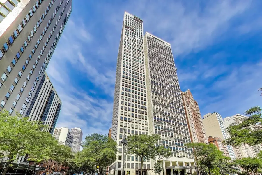 1100 N Lake Shore Drive #27B, Chicago, IL 60611 - #2