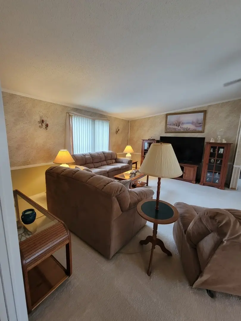 61 Partridge Lane, Beecher, IL 60401 - #3