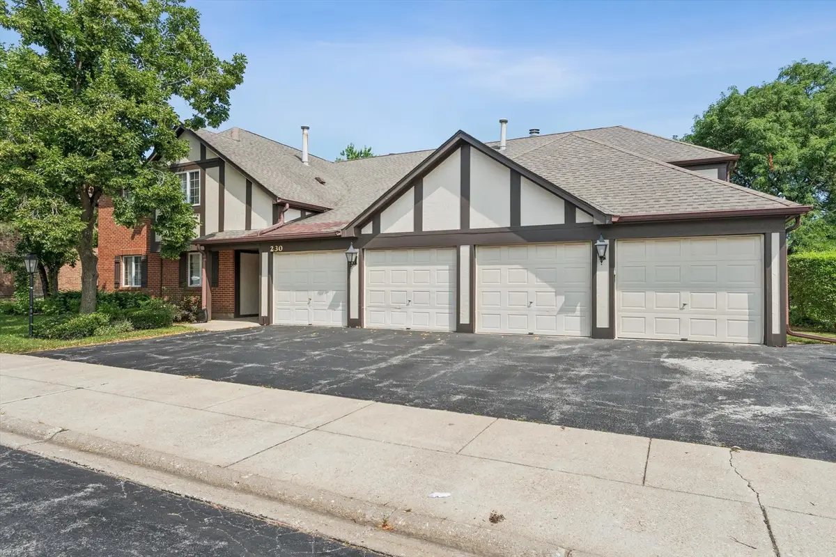 230 Windsor Lane #D, Willowbrook, IL 60527 - #1