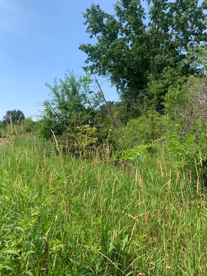 39230 N Us Highway 41 Highway N, Wadsworth, IL 60083 - #2