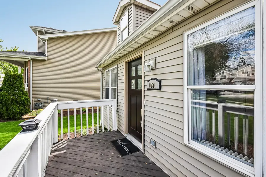 1031 Adelia Street, Downers Grove, IL 60516 - #3