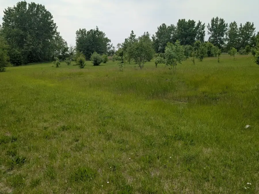 0 Gore Road, Morris, IL 60450 - #2
