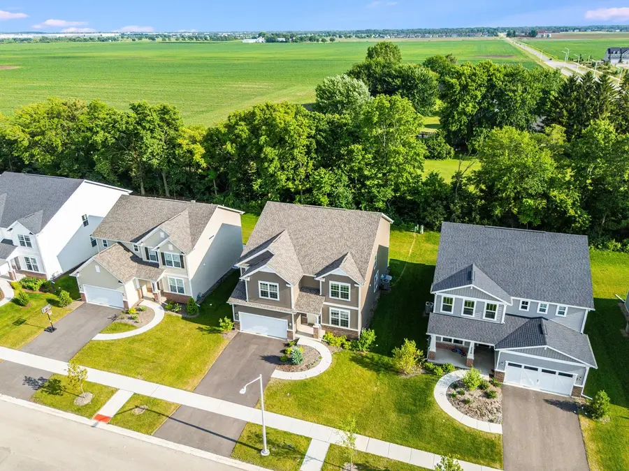 2225 Bent Grass Way, Bolingbrook, IL 60490 - #2