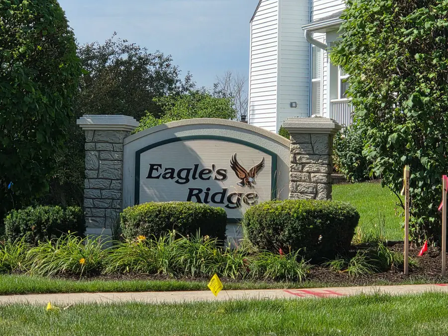 542 Peregrine Parkway, Bartlett, IL 60103 - #2