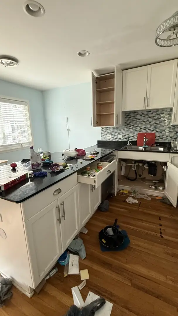 1205 Dodge Avenue, Evanston, IL 60202 - #2
