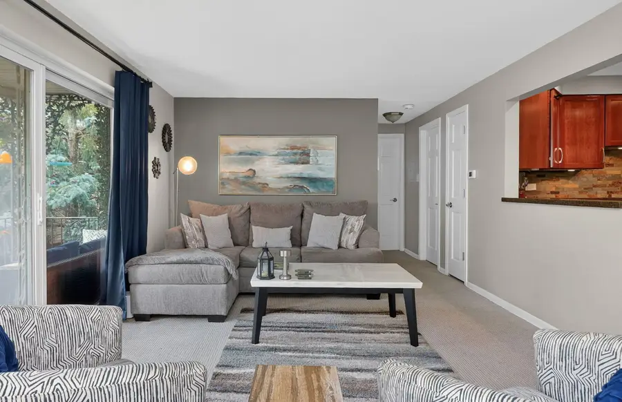 911 8th Avenue #5, La Grange, IL 60525 - #3