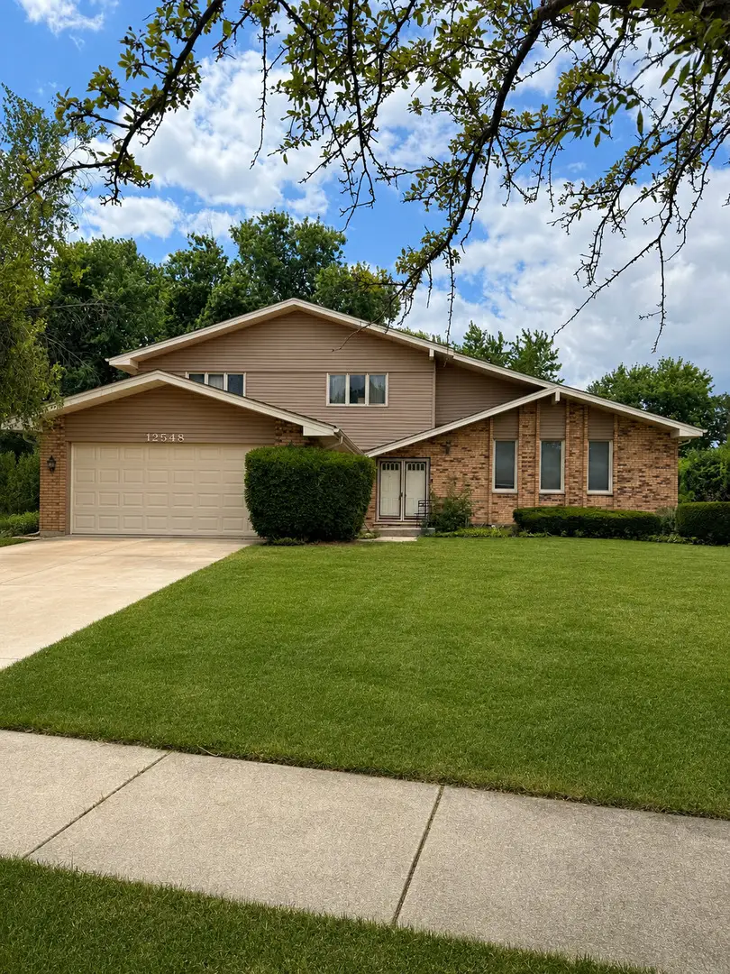 12548 W Morgan Court, Homer Glen, IL 60491 - #1