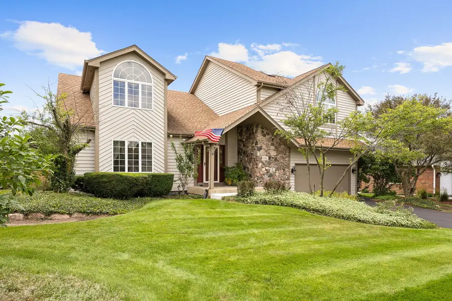 234 Grant Avenue, Frankfort, IL 60423 - #2