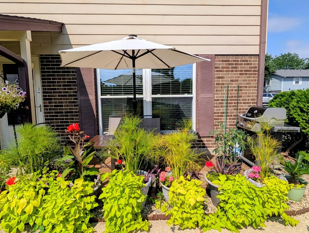779 Pahl Road #779, Elk Grove Village, IL 60007 - #1