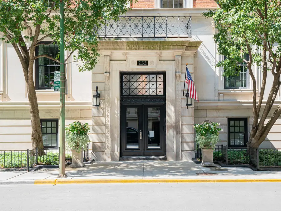 232 E Walton Place #3E, Chicago, IL 60611 - #2