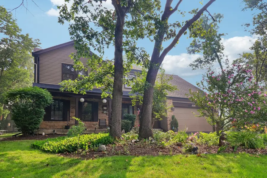 816 Bonnie Brae Lane, Bolingbrook, IL 60440 - #2