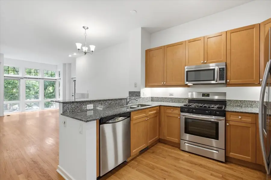 1707 W George Street #60, Chicago, IL 60657 - #2