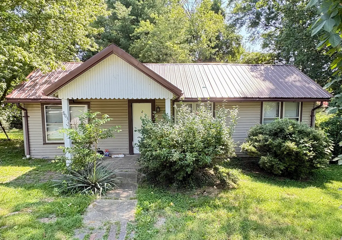 803 N Allyn Street, Carbondale, IL 62901 - #1