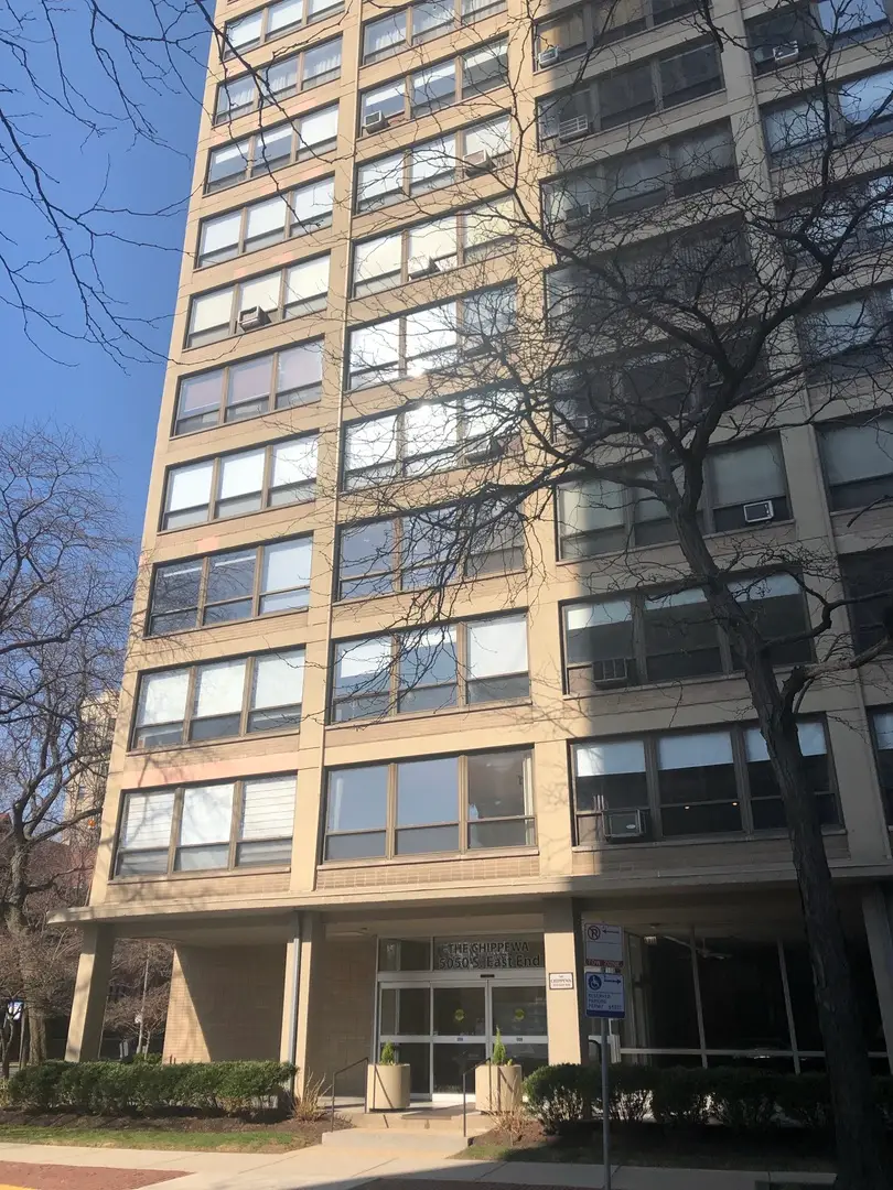 5050 S East End Avenue #2A, Chicago, IL 60615 - #1