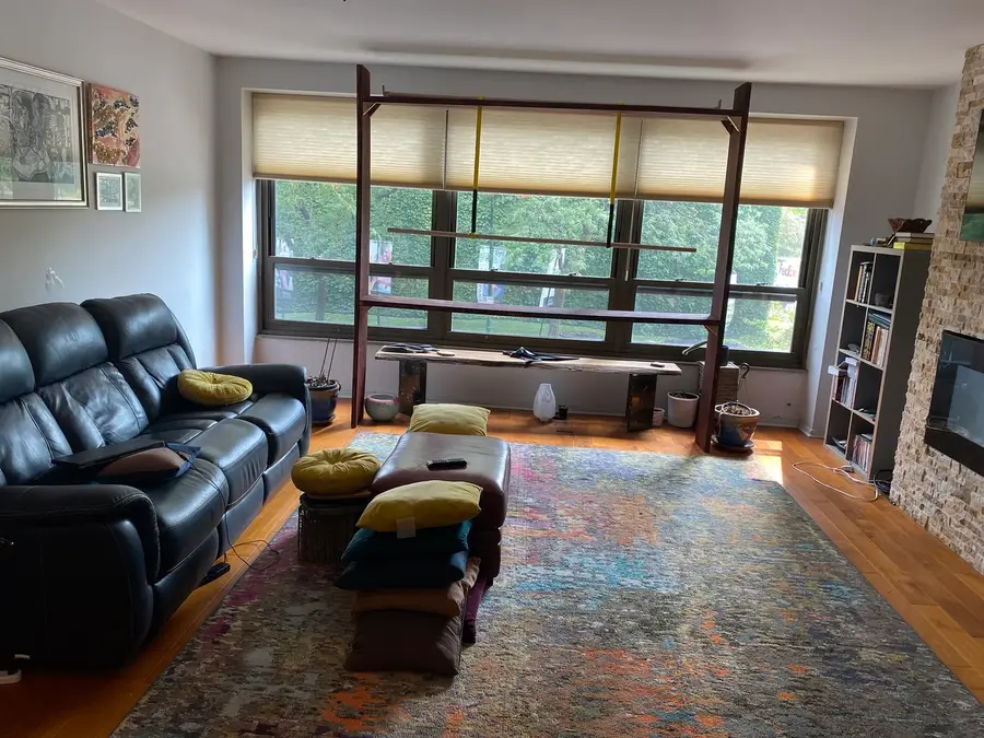 5050 S East End Avenue #2A, Chicago, IL 60615 - #2