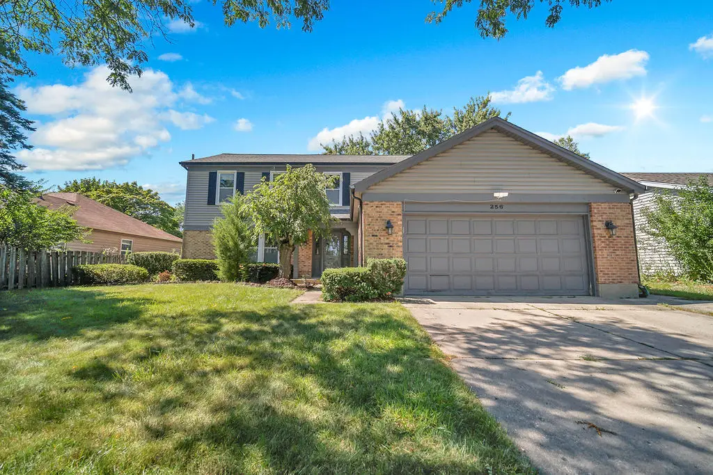 256 E Fox Hill Drive, Buffalo Grove, IL 60089 - #1