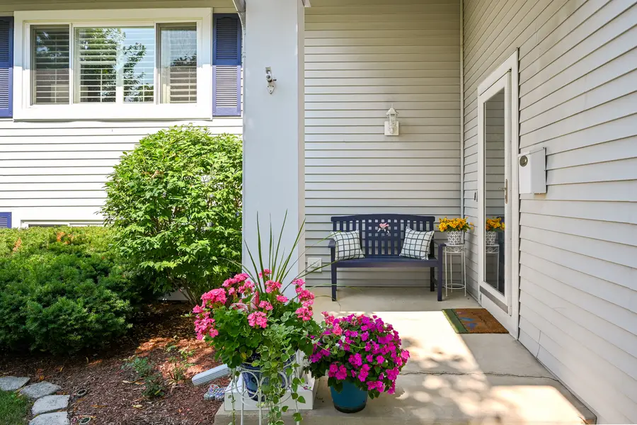 6930 Blue Flag Avenue, Woodridge, IL 60517 - #3