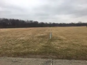 1408 Savannah Lane, Woodstock, IL 60098 - #2