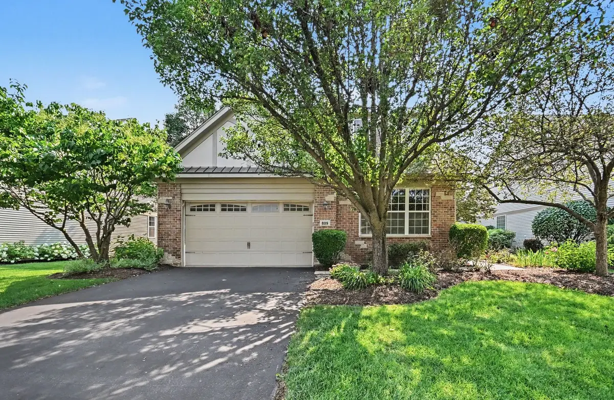 809 Colchester Drive, Oswego, IL 60543 - #1