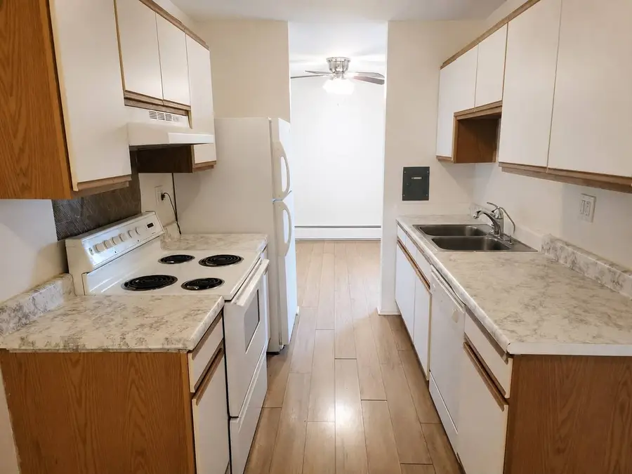 1810 Hemlock Place #204, Schaumburg, IL 60173 - #3