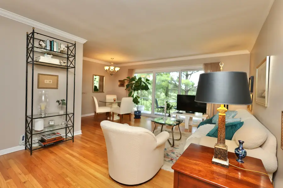 10115 Old Orchard Court #303, Skokie, IL 60076 - #2