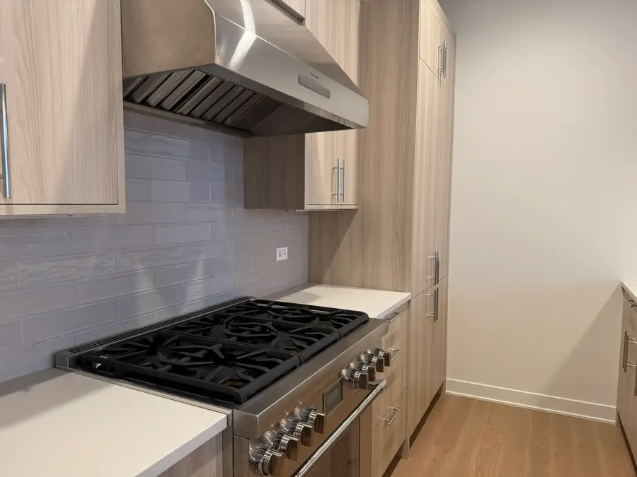 1356 W Chestnut Street #203, Chicago, IL 60642 - #3