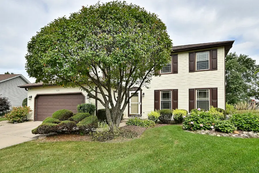 128 Hunter's Circle, Schaumburg, IL 60193 - #2
