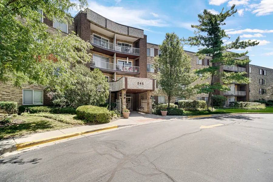 245 S Park Lane #419, Palatine, IL 60074 - #2