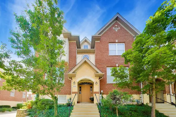 213 River Front Drive #213, Mount Prospect, IL 60056