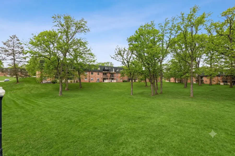 10041 S Walnut Terrace #31-307, Palos Hills, IL 60465 - #2