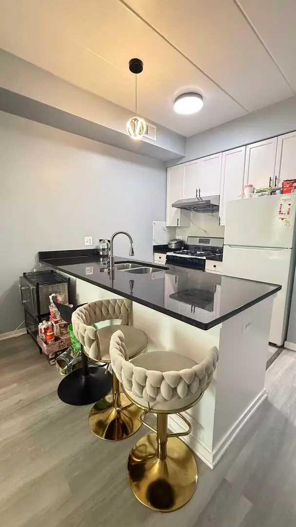 974 W 35th Place #508, Chicago, IL 60609 - #3
