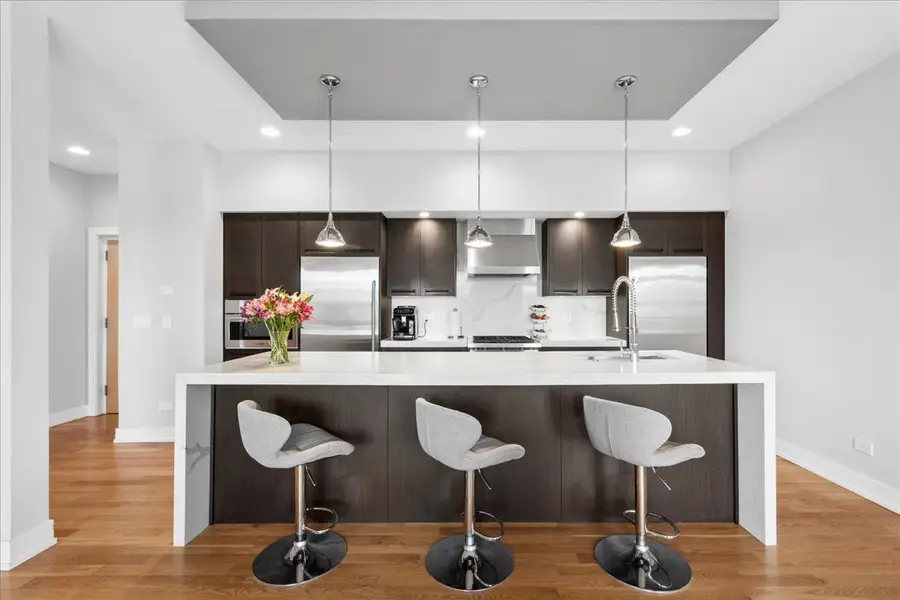 1317 N Larrabee Street #401, Chicago, IL 60610 - #3