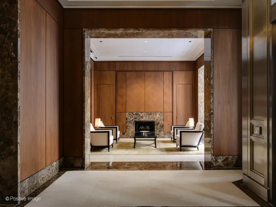 159 E Walton Place #7D, Chicago, IL 60611 - #2