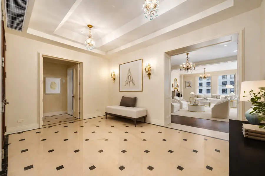 159 E Walton Place #7D, Chicago, IL 60611 - #3