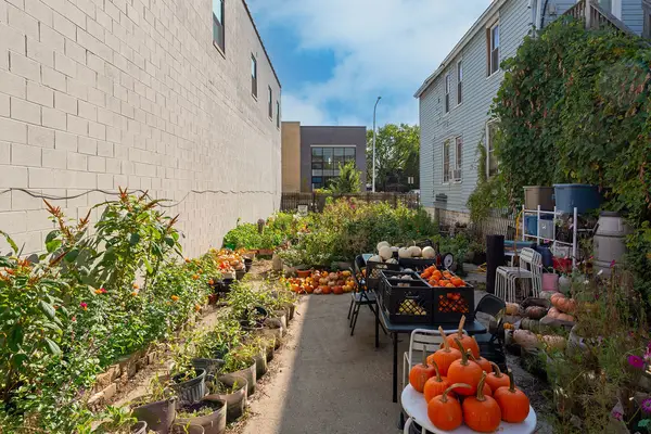 2048 W Grand Avenue, Chicago, IL 60612