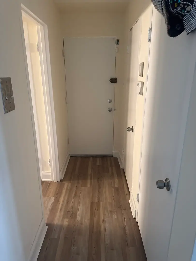 7363 S South Shore Drive #209, Chicago, IL 60649 - #2