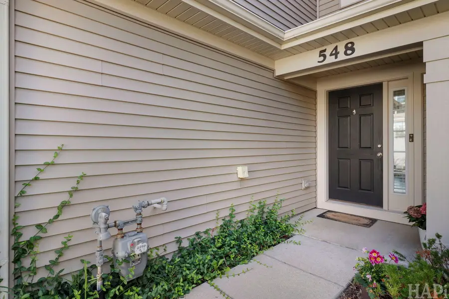 548 Silverton Drive, Grayslake, IL 60030 - #2