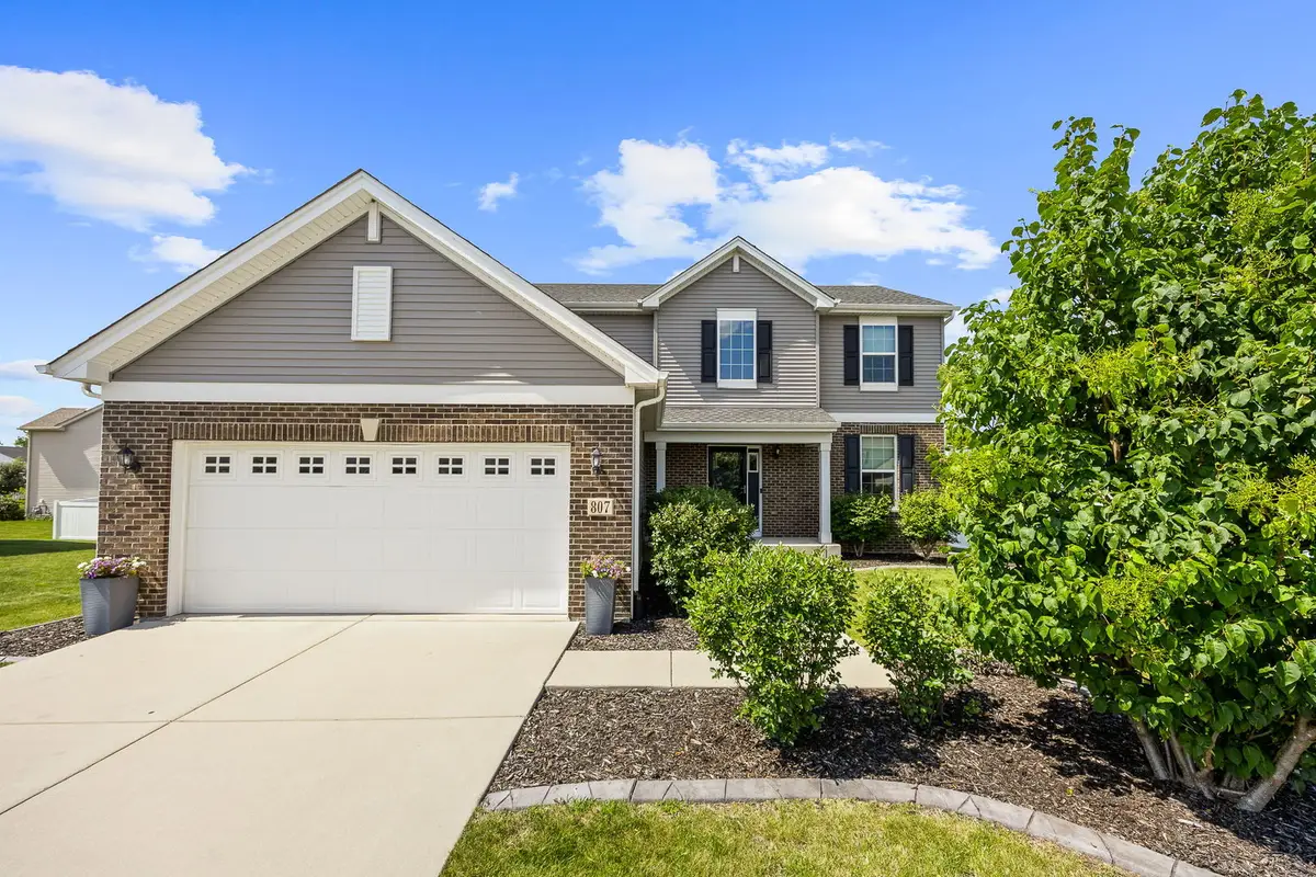 807 High Grove Drive, Minooka, IL 60447 - #1