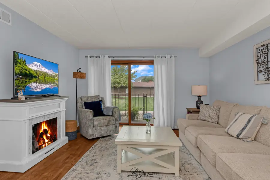 10521 S Roberts Road #1B, Palos Hills, IL 60465 - #2