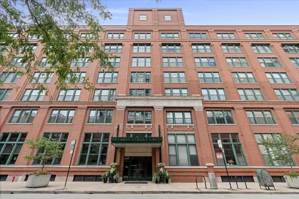 411 W Ontario Street #220, Chicago, IL 60654