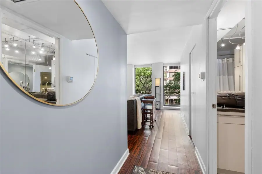 260 E Chestnut Street #303, Chicago, IL 60611 - #3