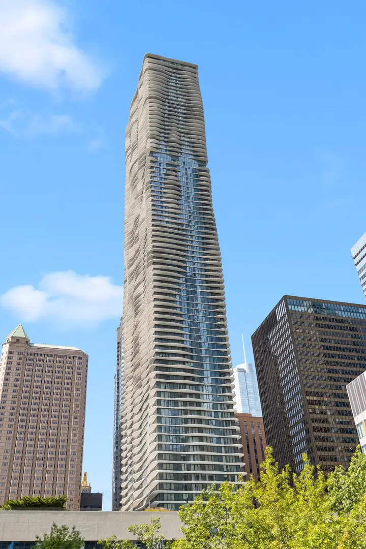 225 N Columbus Drive #5611, Chicago, IL 60601 - #1