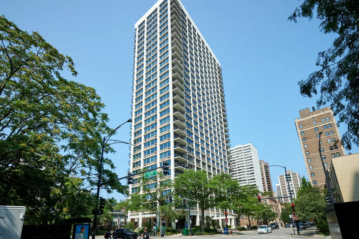 88 W Schiller Street #3007, Chicago, IL 60610 - #1